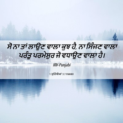 Picture 06 - 1 ਕੁਰਿੰਥੀਆਂ 3:7 PANIRV - ਸੋ ਨਾ ਤਾਂ ਲਾਉਣ ਵਾਲਾ - Bible Verse Picture