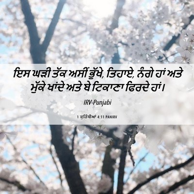Picture 06 - 1 ਕੁਰਿੰਥੀਆਂ 4:11 PANIRV - ਇਸ ਘੜੀ ਤੱਕ ਅਸੀਂ - Bible Verse Picture