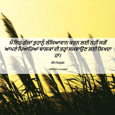 Picture 06 - 1 ਕੁਰਿੰਥੀਆਂ 4:14 PANIRV - ਮੈਂ ਇਹ ਗੱਲਾਂ - Bible Verse Picture