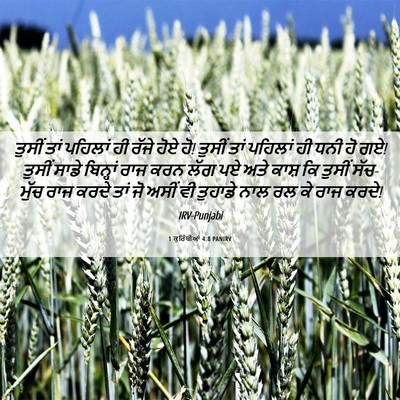 Picture 06 - 1 ਕੁਰਿੰਥੀਆਂ 4:8 PANIRV - ਤੁਸੀਂ ਤਾਂ ਪਹਿਲਾਂ - Bible Verse Picture