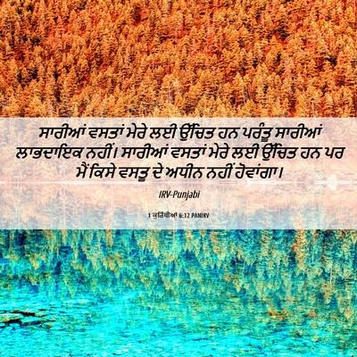 Picture 06 - 1 ਕੁਰਿੰਥੀਆਂ 6:12 PANIRV - ਸਾਰੀਆਂ ਵਸਤਾਂ ਮੇਰੇ - Bible Verse Picture