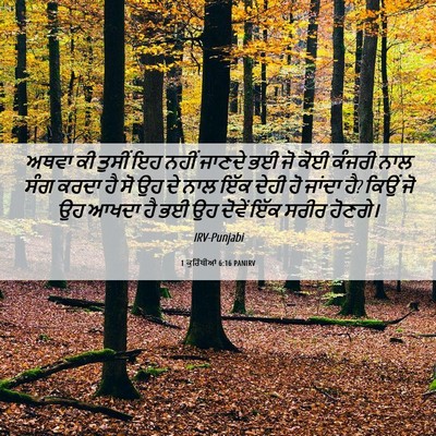 Picture 06 - 1 ਕੁਰਿੰਥੀਆਂ 6:16 PANIRV - ਅਥਵਾ ਕੀ ਤੁਸੀਂ ਇਹ - Bible Verse Picture
