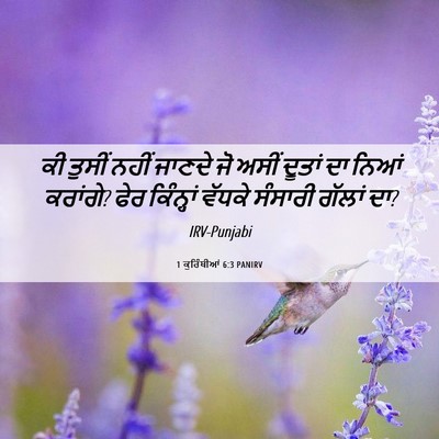 Picture 06 - 1 ਕੁਰਿੰਥੀਆਂ 6:3 PANIRV - ਕੀ ਤੁਸੀਂ ਨਹੀਂ - Bible Verse Picture