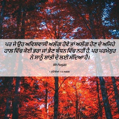 Picture 06 - 1 ਕੁਰਿੰਥੀਆਂ 7:15 PANIRV - ਪਰ ਜੇ ਉਹ ਅਵਿਸ਼ਵਾਸੀ - Bible Verse Picture