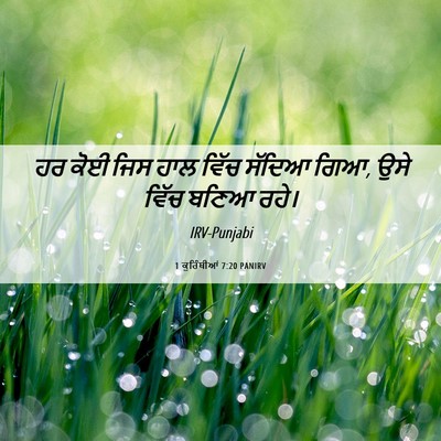 Picture 06 - 1 ਕੁਰਿੰਥੀਆਂ 7:20 PANIRV - ਹਰ ਕੋਈ ਜਿਸ ਹਾਲ ਵਿੱਚ - Bible Verse Picture