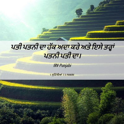 Picture 06 - 1 ਕੁਰਿੰਥੀਆਂ 7:3 PANIRV - ਪਤੀ ਪਤਨੀ ਦਾ ਹੱਕ ਅਦਾ - Bible Verse Picture