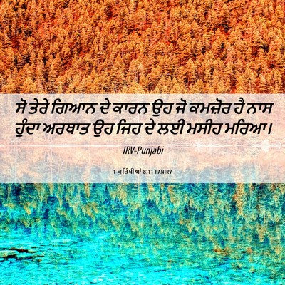 Picture 06 - 1 ਕੁਰਿੰਥੀਆਂ 8:11 PANIRV - ਸੋ ਤੇਰੇ ਗਿਆਨ ਦੇ - Bible Verse Picture