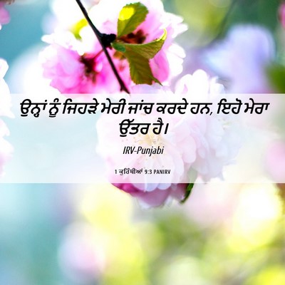 Picture 06 - 1 ਕੁਰਿੰਥੀਆਂ 9:3 PANIRV - ਉਨ੍ਹਾਂ ਨੂੰ ਜਿਹੜੇ - Bible Verse Picture