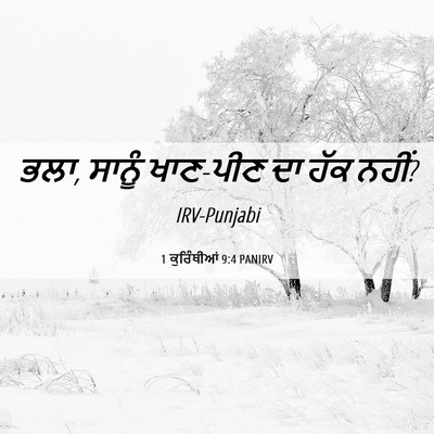 Picture 06 - 1 ਕੁਰਿੰਥੀਆਂ 9:4 PANIRV - ਭਲਾ, ਸਾਨੂੰ ਖਾਣ-ਪੀਣ - Bible Verse Picture