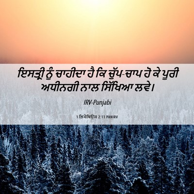 Picture 06 - 1 ਤਿਮੋਥਿਉਸ 2:11 PANIRV - ਇਸਤ੍ਰੀ ਨੂੰ ਚਾਹੀਦਾ - Bible Verse Picture