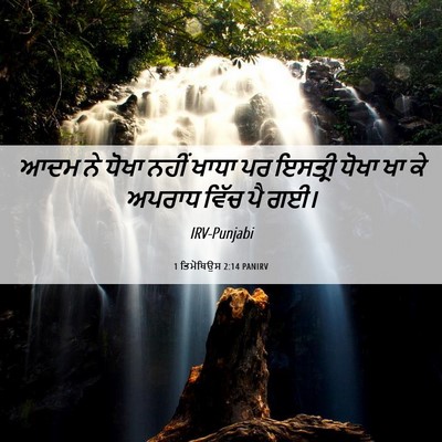 Picture 06 - 1 ਤਿਮੋਥਿਉਸ 2:14 PANIRV - ਆਦਮ ਨੇ ਧੋਖਾ ਨਹੀਂ - Bible Verse Picture