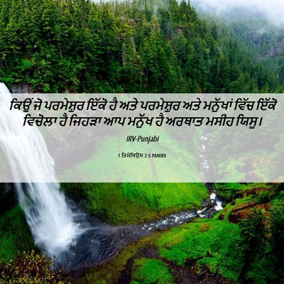 Picture 06 - 1 ਤਿਮੋਥਿਉਸ 2:5 PANIRV - ਕਿਉਂ ਜੋ ਪਰਮੇਸ਼ੁਰ - Bible Verse Picture