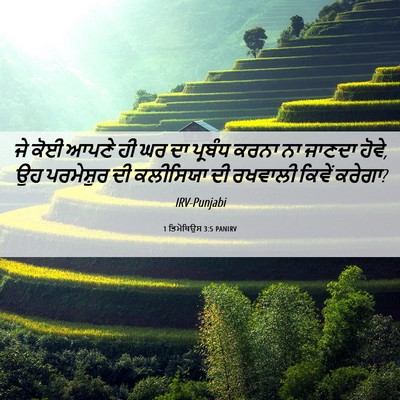Picture 06 - 1 ਤਿਮੋਥਿਉਸ 3:5 PANIRV - ਜੇ ਕੋਈ ਆਪਣੇ ਹੀ ਘਰ - Bible Verse Picture