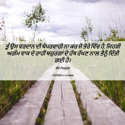 Picture 06 - 1 ਤਿਮੋਥਿਉਸ 4:14 PANIRV - ਤੂੰ ਉਸ ਵਰਦਾਨ ਦੀ - Bible Verse Picture