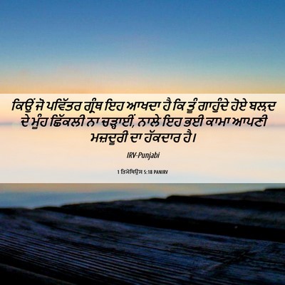 Picture 06 - 1 ਤਿਮੋਥਿਉਸ 5:18 PANIRV - ਕਿਉਂ ਜੋ ਪਵਿੱਤਰ - Bible Verse Picture