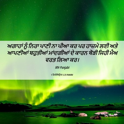 Picture 06 - 1 ਤਿਮੋਥਿਉਸ 5:23 PANIRV - ਅਗਾਹਾਂ ਨੂੰ ਨਿਰਾ - Bible Verse Picture