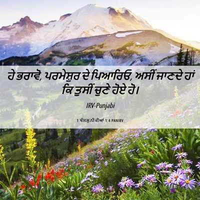 Picture 06 - 1 ਥੱਸਲੁਨੀਕੀਆਂ 1:4 PANIRV - ਹੇ ਭਰਾਵੋ, ਪਰਮੇਸ਼ੁਰ - Bible Verse Picture