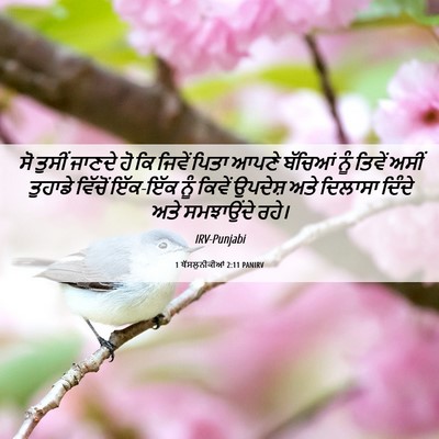 Picture 06 - 1 ਥੱਸਲੁਨੀਕੀਆਂ 2:11 PANIRV - ਸੋ ਤੁਸੀਂ ਜਾਣਦੇ ਹੋ - Bible Verse Picture