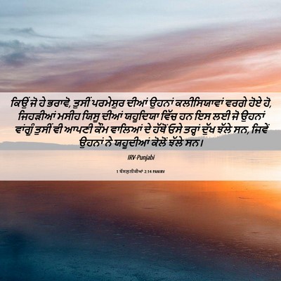 Picture 06 - 1 ਥੱਸਲੁਨੀਕੀਆਂ 2:14 PANIRV - ਕਿਉਂ ਜੋ ਹੇ ਭਰਾਵੋ, - Bible Verse Picture