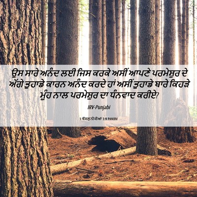 Picture 06 - 1 ਥੱਸਲੁਨੀਕੀਆਂ 3:9 PANIRV - ਉਸ ਸਾਰੇ ਅਨੰਦ ਲਈ ਜਿਸ - Bible Verse Picture