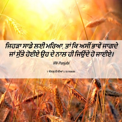 Picture 06 - 1 ਥੱਸਲੁਨੀਕੀਆਂ 5:10 PANIRV - ਜਿਹੜਾ ਸਾਡੇ ਲਈ ਮਰਿਆ, - Bible Verse Picture