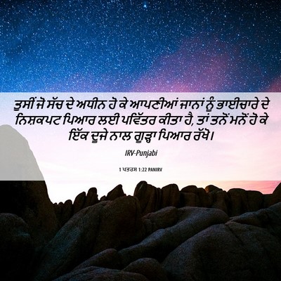 Picture 06 - 1 ਪਤਰਸ 1:22 PANIRV - ਤੁਸੀਂ ਜੋ ਸੱਚ ਦੇ - Bible Verse Picture