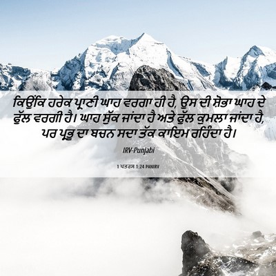 Picture 06 - 1 ਪਤਰਸ 1:24 PANIRV - ਕਿਉਂਕਿ ਹਰੇਕ - Bible Verse Picture