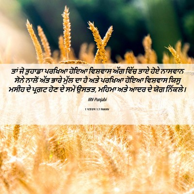 Picture 06 - 1 ਪਤਰਸ 1:7 PANIRV - ਤਾਂ ਜੋ ਤੁਹਾਡਾ - Bible Verse Picture