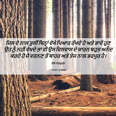 Picture 06 - 1 ਪਤਰਸ 1:8 PANIRV - ਜਿਸ ਦੇ ਨਾਲ ਤੁਸੀਂ - Bible Verse Picture