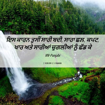 Picture 06 - 1 ਪਤਰਸ 2:1 PANIRV - ਇਸ ਕਾਰਨ ਤੁਸੀਂ ਸਾਰੀ - Bible Verse Picture