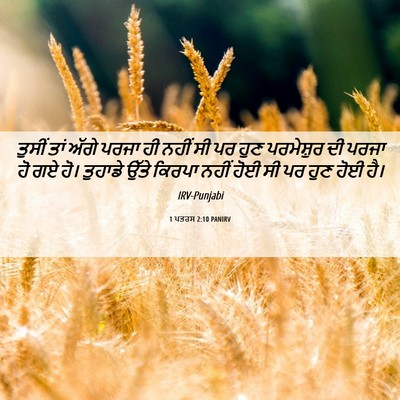 Picture 06 - 1 ਪਤਰਸ 2:10 PANIRV - ਤੁਸੀਂ ਤਾਂ ਅੱਗੇ - Bible Verse Picture