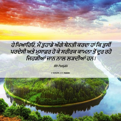Picture 06 - 1 ਪਤਰਸ 2:11 PANIRV - ਹੇ ਪਿਆਰਿਓ, ਮੈਂ - Bible Verse Picture