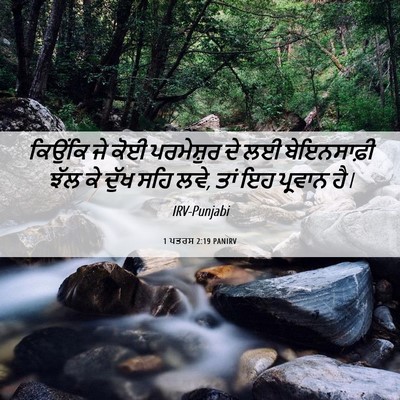 Picture 06 - 1 ਪਤਰਸ 2:19 PANIRV - ਕਿਉਂਕਿ ਜੇ ਕੋਈ - Bible Verse Picture