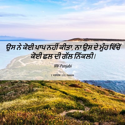 Picture 06 - 1 ਪਤਰਸ 2:22 PANIRV - ਉਸ ਨੇ ਕੋਈ ਪਾਪ ਨਹੀਂ - Bible Verse Picture