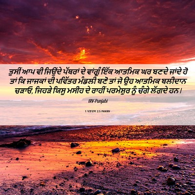 Picture 06 - 1 ਪਤਰਸ 2:5 PANIRV - ਤੁਸੀਂ ਆਪ ਵੀ ਜਿਉਂਦੇ - Bible Verse Picture