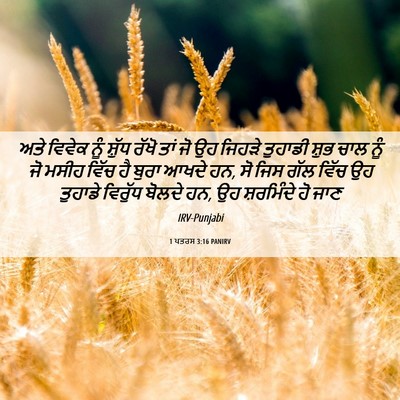 Picture 06 - 1 ਪਤਰਸ 3:16 PANIRV - ਅਤੇ ਵਿਵੇਕ ਨੂੰ - Bible Verse Picture