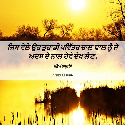 Picture 06 - 1 ਪਤਰਸ 3:2 PANIRV - ਜਿਸ ਵੇਲੇ ਉਹ ਤੁਹਾਡੀ - Bible Verse Picture
