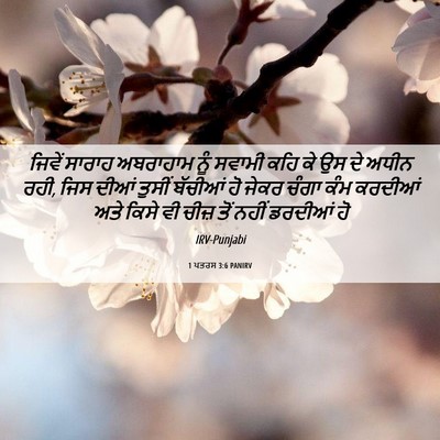 Picture 06 - 1 ਪਤਰਸ 3:6 PANIRV - ਜਿਵੇਂ ਸਾਰਾਹ - Bible Verse Picture