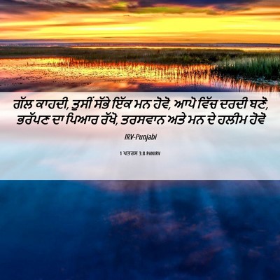 Picture 06 - 1 ਪਤਰਸ 3:8 PANIRV - ਗੱਲ ਕਾਹਦੀ, ਤੁਸੀਂ - Bible Verse Picture