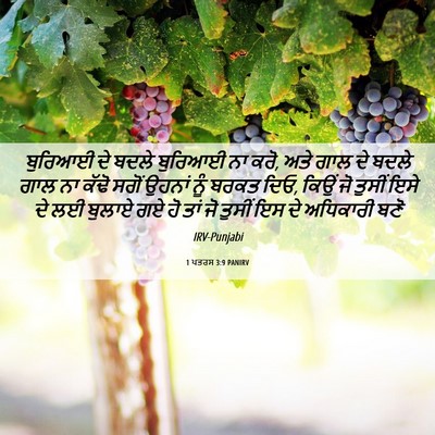 Picture 06 - 1 ਪਤਰਸ 3:9 PANIRV - ਬੁਰਿਆਈ ਦੇ ਬਦਲੇ - Bible Verse Picture