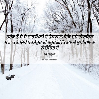 Picture 06 - 1 ਪਤਰਸ 4:10 PANIRV - ਹਰੇਕ ਨੂੰ ਜੋ-ਜੋ ਦਾਤ - Bible Verse Picture
