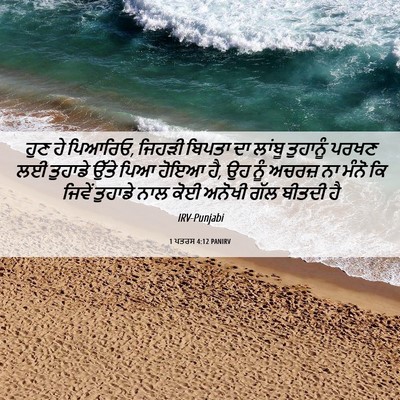 Picture 06 - 1 ਪਤਰਸ 4:12 PANIRV - ਹੁਣ ਹੇ ਪਿਆਰਿਓ, - Bible Verse Picture
