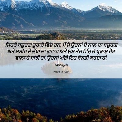 Picture 06 - 1 ਪਤਰਸ 5:1 PANIRV - ਜਿਹੜੇ ਬਜ਼ੁਰਗ - Bible Verse Picture
