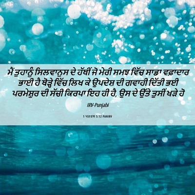 Picture 06 - 1 ਪਤਰਸ 5:12 PANIRV - ਮੈਂ ਤੁਹਾਨੂੰ - Bible Verse Picture