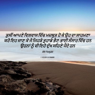 Picture 06 - 1 ਪਤਰਸ 5:9 PANIRV - ਤੁਸੀਂ ਆਪਣੇ - Bible Verse Picture