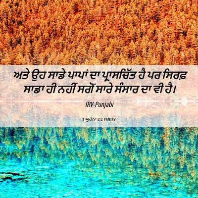 Picture 06 - 1 ਯੂਹੰਨਾ 2:2 PANIRV - ਅਤੇ ਉਹ ਸਾਡੇ ਪਾਪਾਂ - Bible Verse Picture