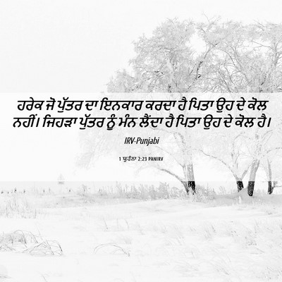 Picture 06 - 1 ਯੂਹੰਨਾ 2:23 PANIRV - ਹਰੇਕ ਜੋ ਪੁੱਤਰ ਦਾ - Bible Verse Picture