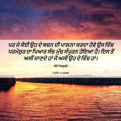 Picture 06 - 1 ਯੂਹੰਨਾ 2:5 PANIRV - ਪਰ ਜੇ ਕੋਈ ਉਹ ਦੇ ਬਚਨ - Bible Verse Picture