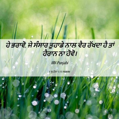 Picture 06 - 1 ਯੂਹੰਨਾ 3:13 PANIRV - ਹੇ ਭਰਾਵੋ, ਜੇ ਸੰਸਾਰ - Bible Verse Picture