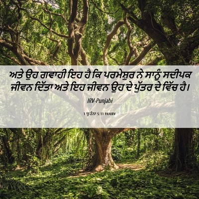 Picture 06 - 1 ਯੂਹੰਨਾ 5:11 PANIRV - ਅਤੇ ਉਹ ਗਵਾਹੀ ਇਹ ਹੈ - Bible Verse Picture